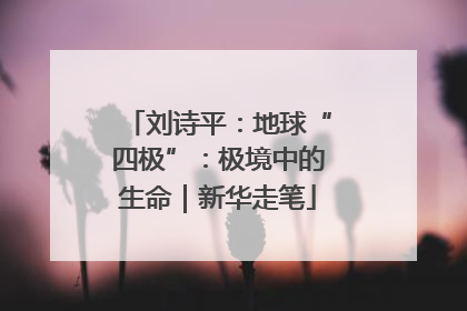 刘诗平：地球“四极”：极境中的生命｜新华走笔