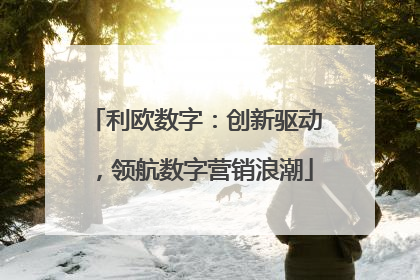 利欧数字：创新驱动，领航数字营销浪潮