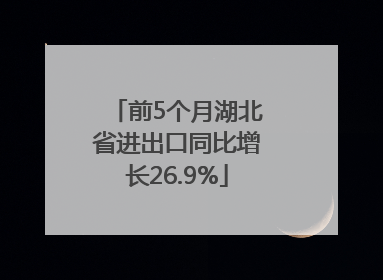 前5个月湖北省进出口同比增长26.9%