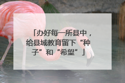 办好每一所县中，给县域教育留下“种子”和“希望”
