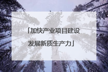 加快产业项目建设 发展新质生产力
