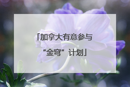 加拿大有意参与“金穹”计划