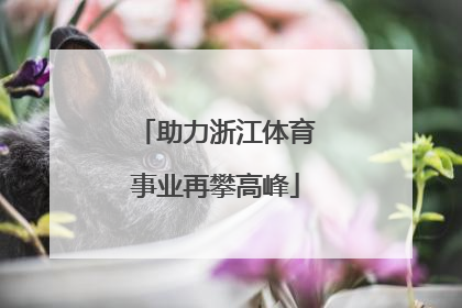 助力浙江体育事业再攀高峰