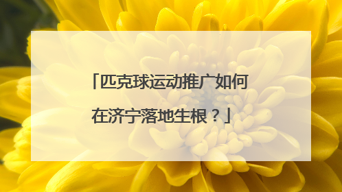 匹克球运动推广如何在济宁落地生根？