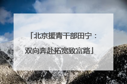 北京援青干部田宁：双向奔赴拓宽致富路