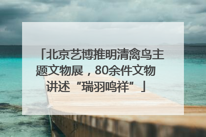 北京艺博推明清禽鸟主题文物展，80余件文物讲述“瑞羽鸣祥”
