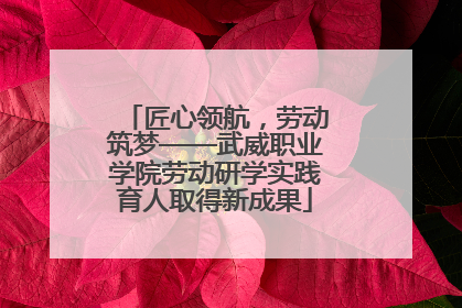 匠心领航，劳动筑梦——武威职业学院劳动研学实践育人取得新成果