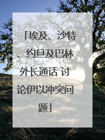埃及、沙特、约旦及巴林外长通话 讨论伊以冲突问题
