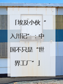 埃及小伙“入川记”：中国不只是“世界工厂”