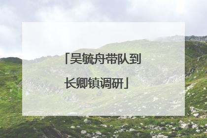 吴毓舟带队到长卿镇调研
