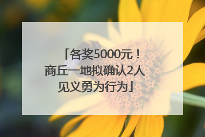 各奖5000元！商丘一地拟确认2人见义勇为行为