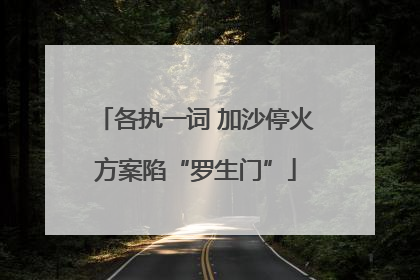 各执一词 加沙停火方案陷“罗生门”