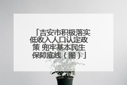 吉安市积极落实低收入人口认定政策 兜牢基本民生保障底线（图）