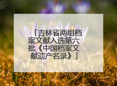 吉林省两组档案文献入选第六批《中国档案文献遗产名录》
