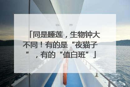 同是睡莲，生物钟大不同！有的是“夜猫子”，有的“值白班”