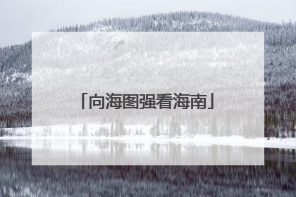 向海图强看海南