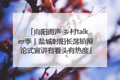 向阳而声·乡村talker季｜盐城射阳长荡镇辩论式宣讲有看头有热度
