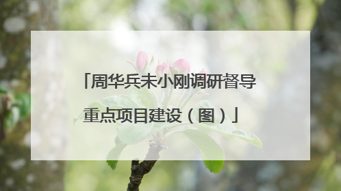 周华兵未小刚调研督导重点项目建设（图）