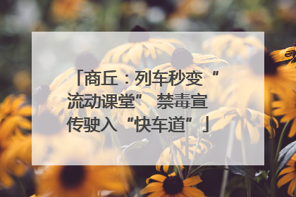 商丘：列车秒变“流动课堂” 禁毒宣传驶入“快车道”