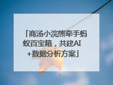 商汤小浣熊牵手蚂蚁百宝箱，共建AI+数据分析方案