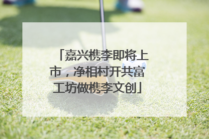 嘉兴槜李即将上市，净相村开共富工坊做槜李文创