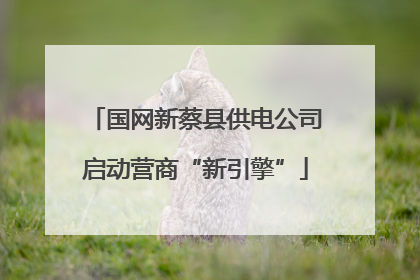 国网新蔡县供电公司启动营商“新引擎”