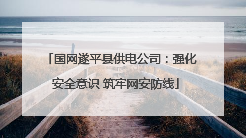 国网遂平县供电公司：强化安全意识 筑牢网安防线