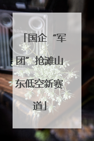国企“军团”抢滩山东低空新赛道
