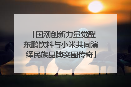 国潮创新力量觉醒 东鹏饮料与小米共同演绎民族品牌突围传奇