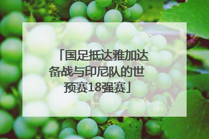 国足抵达雅加达备战与印尼队的世预赛18强赛