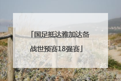 国足抵达雅加达备战世预赛18强赛