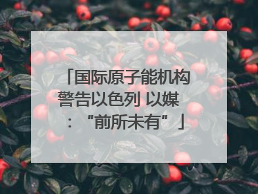 国际原子能机构警告以色列 以媒：“前所未有”