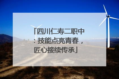 四川仁寿二职中：技能点亮青春，匠心接续传承