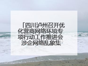 四川泸州召开优化营商网络环境专项行动工作推进会 涉企网络乱象集中整治初见成效