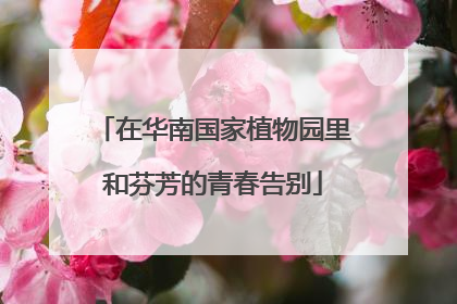 在华南国家植物园里和芬芳的青春告别