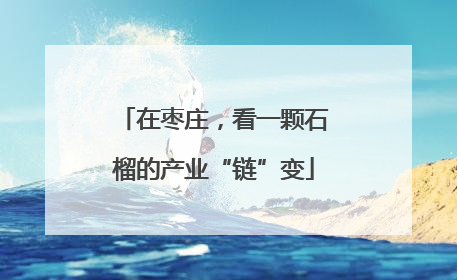 在枣庄，看一颗石榴的产业“链”变
