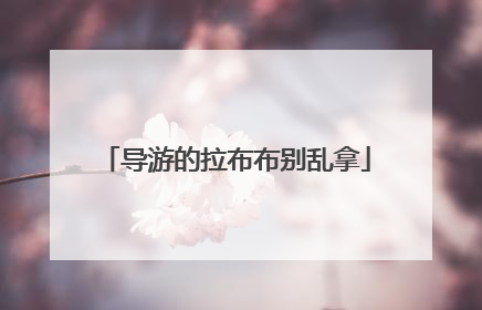 导游的拉布布别乱拿