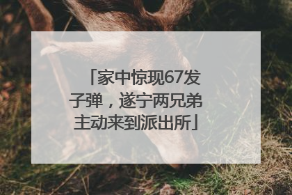 家中惊现67发子弹，遂宁两兄弟主动来到派出所