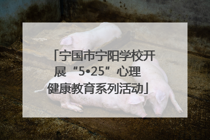 宁国市宁阳学校开展“5•25”心理健康教育系列活动