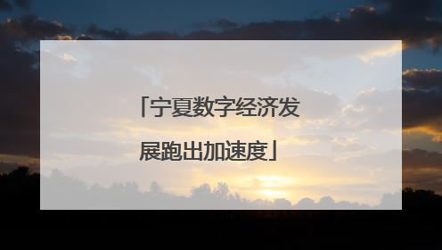 宁夏数字经济发展跑出加速度