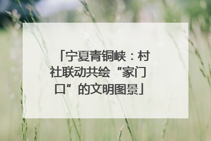 宁夏青铜峡：村社联动共绘“家门口”的文明图景