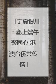 宁夏银川：塞上端午聚同心 港澳台侨共传情