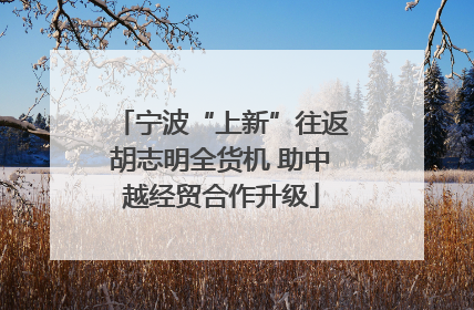 宁波“上新”往返胡志明全货机 助中越经贸合作升级