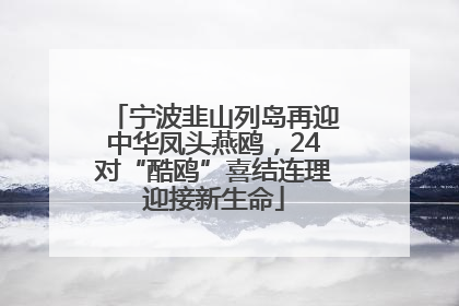 宁波韭山列岛再迎中华凤头燕鸥，24对“酷鸥”喜结连理迎接新生命