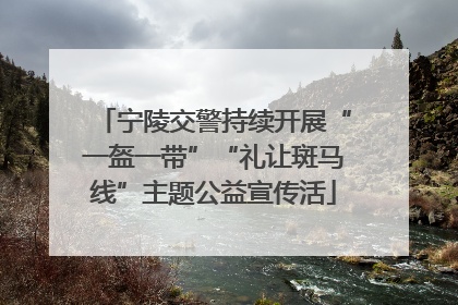 宁陵交警持续开展“一盔一带”“礼让斑马线”主题公益宣传活
