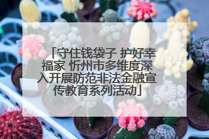 守住钱袋子 护好幸福家 忻州市多维度深入开展防范非法金融宣传教育系列活动