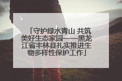 守护绿水青山 共筑美好生态家园——黑龙江省丰林县扎实推进生物多样性保护工作