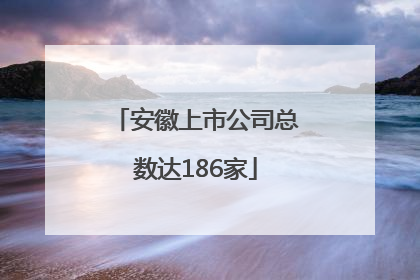安徽上市公司总数达186家