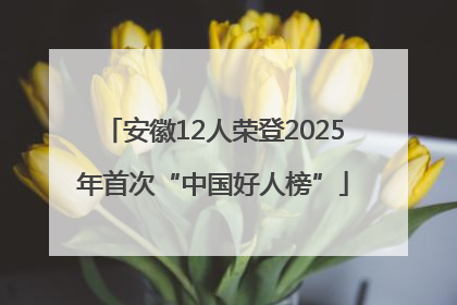 安徽12人荣登2025年首次“中国好人榜”