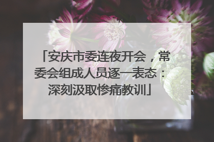安庆市委连夜开会，常委会组成人员逐一表态：深刻汲取惨痛教训